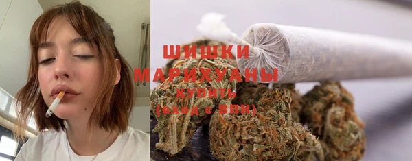 эйфоретик Ладушкин