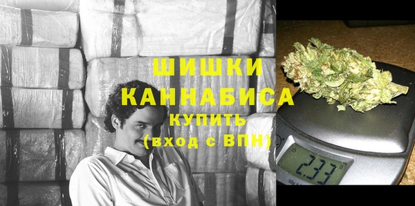 эйфоретик Ладушкин